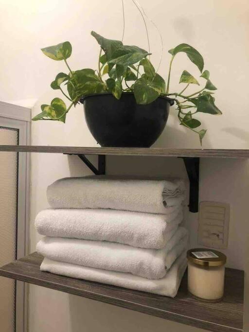 Comfortable And Private House 2 Bedrooms Wifi Parking Free Монтеррей Экстерьер фото